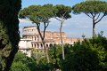 0519Foro Romano